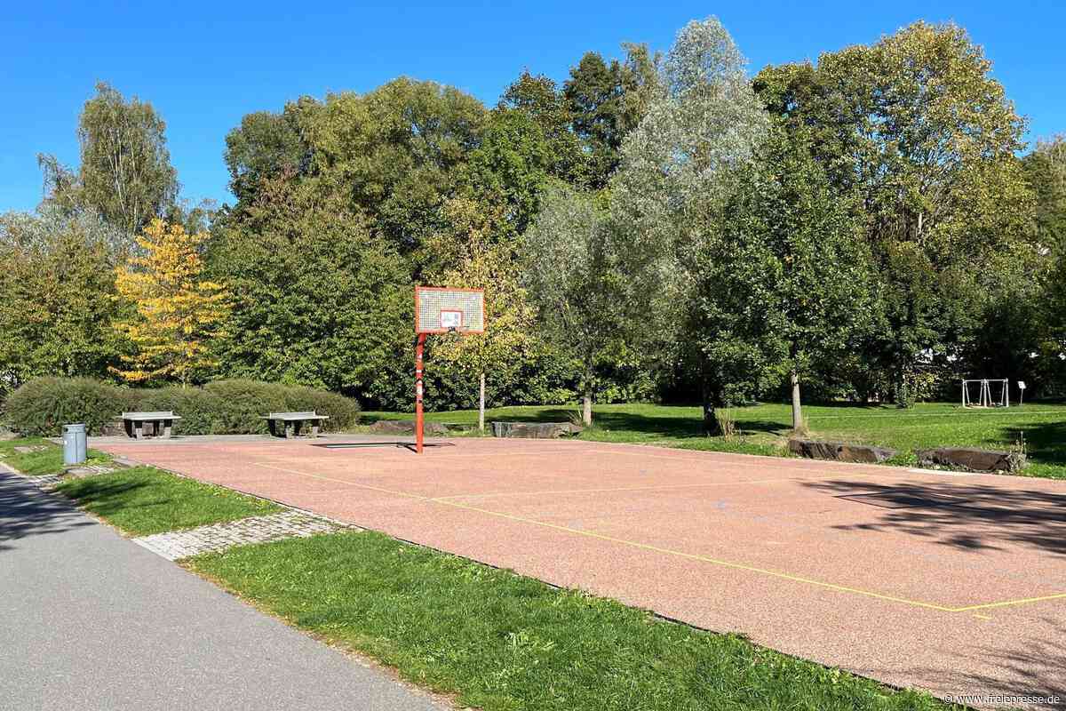 Auerbach: Stadt will Spielfeld im Hofaupark sanieren – Details verrät man nicht