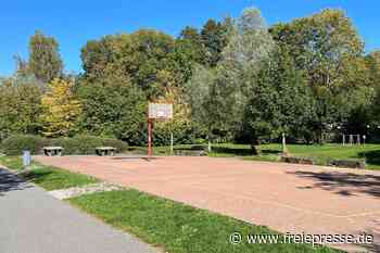 Auerbach: Stadt will Spielfeld im Hofaupark sanieren – Details verrät man nicht