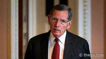 Top Senate Republican calls Guilfoyle reports ‘very troubling’
