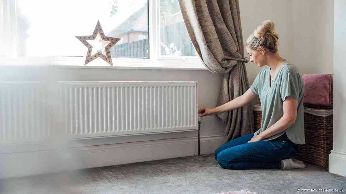 Homes will be 50% warmer if you place 1 simple item behind your radiator