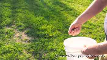 Grass will be greener in 1 week if you add impressive item gardeners are buying at B&Q