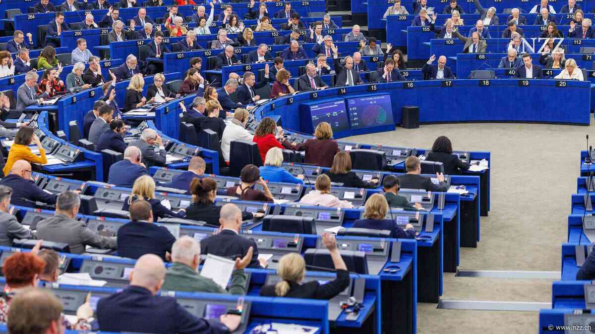 Warum gilt die Brandmauer in Berlin – aber nicht in Brüssel? EU-Parlamentarier erklären das Tabuthema