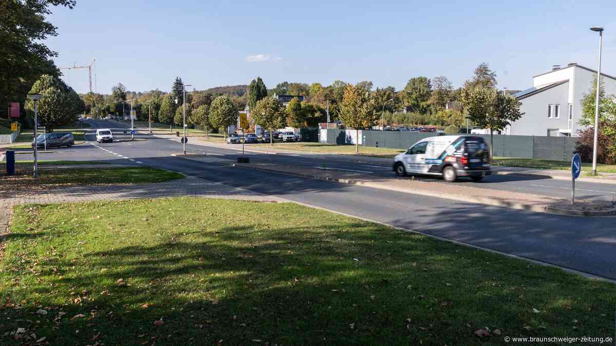 Stadt hat vier ideale Standorte für schönste Weihnachtsbäume in Salzgitter empfohlen