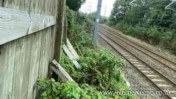 Rainhill dad not happy over what Network Rail said about their shared fence