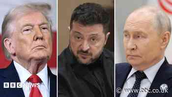 Trump's 'energy ceasefire' claim welcomed by Zelensky but Russia silent