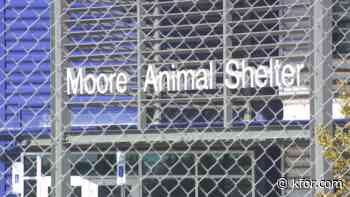 Moore animal shelter employee placed on leave following suspected embezzlement