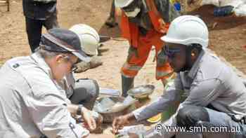 Dalaroo unearths fresh gold clues 1.25km from African discovery