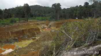 Critical Resources puts boots on Suriname gold ground