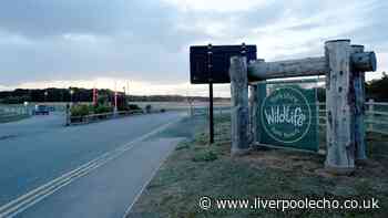 Yorkshire Wildlife Park set to reopen today after man killed by tiger