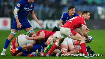 Wales international spots World Cup problem and Springboks hero's career on line