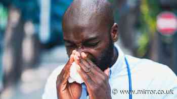 Natural remedy 'reduces chances of getting a cold by 58%'