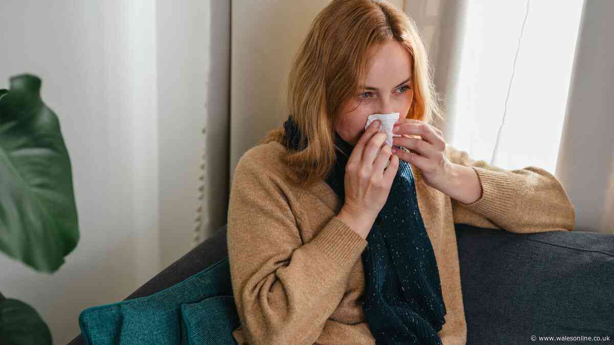 Flower remedy 'cuts chances of getting a cold by more than half'