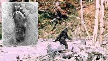 Bigfoot sightings across 14 US states reveal an eerie pattern sparking claims a creature is hiding nearby