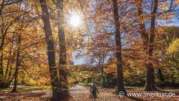 Goldener Oktober: Spanien-Hitze mit 30 Grad beschert Deutschland jetzt auch noch mal sonnige Temperaturen