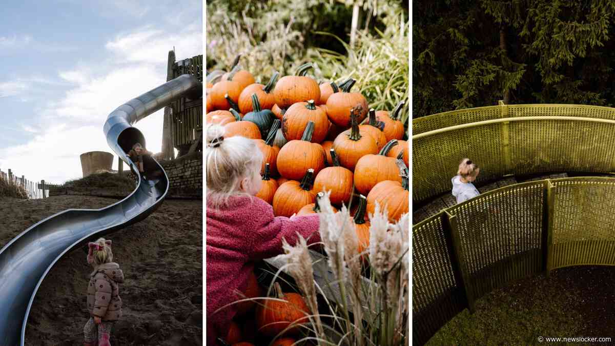 Eropuit in de herfstvakantie zonder pijn in je portemonnee? Experts tippen 9 uitjes onder 20 euro per persoon
