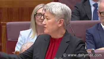 Penny Wong goes nuclear on senator for disappearing for 'six months' and 'posting holiday photos everywhere' while taking a salary from taxpayers