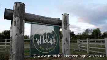 Yorkshire Wildlife Park issues fresh opening update today after man dies in tiger attack