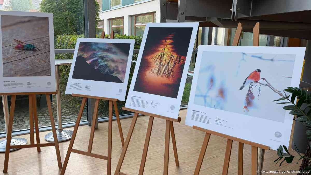 Ausstellung mit preisgekrönten Fotografien
