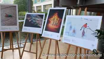 Ausstellung mit preisgekrönten Fotografien