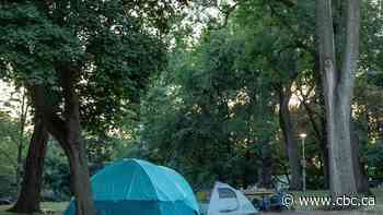 Ontario's top court paves way to reopen challenge of Hamilton's anti-encampment law