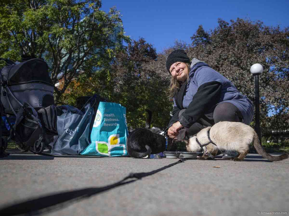 Homeless because of her cats: Woman denied Ottawa shelter space