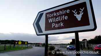 Yorkshire Wildlife Park shares new statement after fatal tiger attack on man