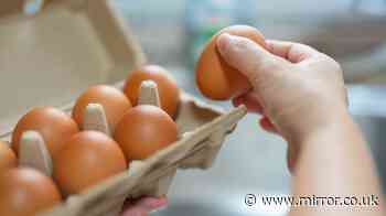 UK households urged 'do not eat' eggs with certain code due to food poisoning risk