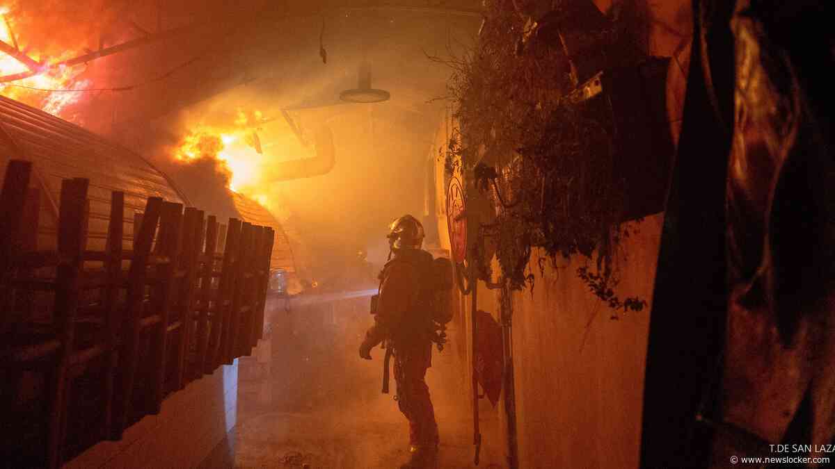 Oudste overdekte markt Parijs verwoest door brand: ’Er is niets meer van over’