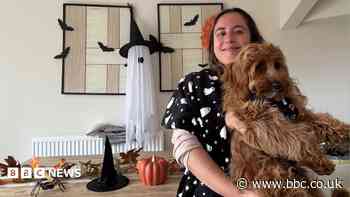 Halloween 'bigger than Christmas', say businesses