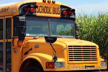 Parents Fight To Reinstate School Bus Driver Fired After Kitten Rescue, but District Cites 'Multiple Incidents'