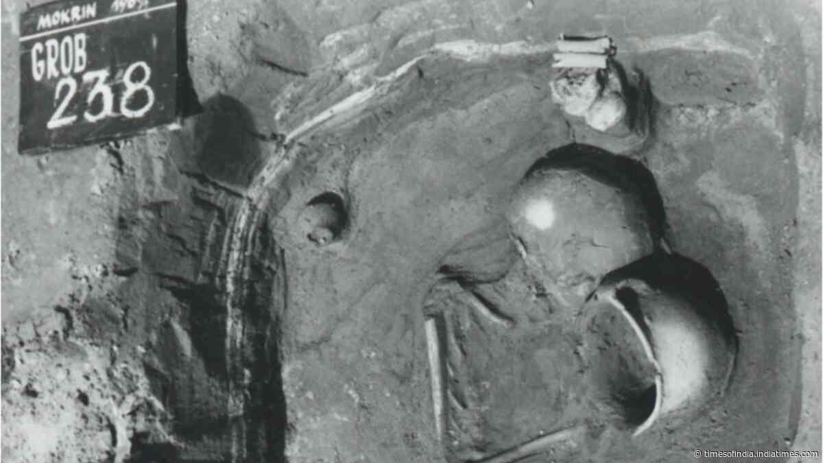 A study of 77 Bronze Age children in Serbia found sex-linked burial customs dating back 4,000 years