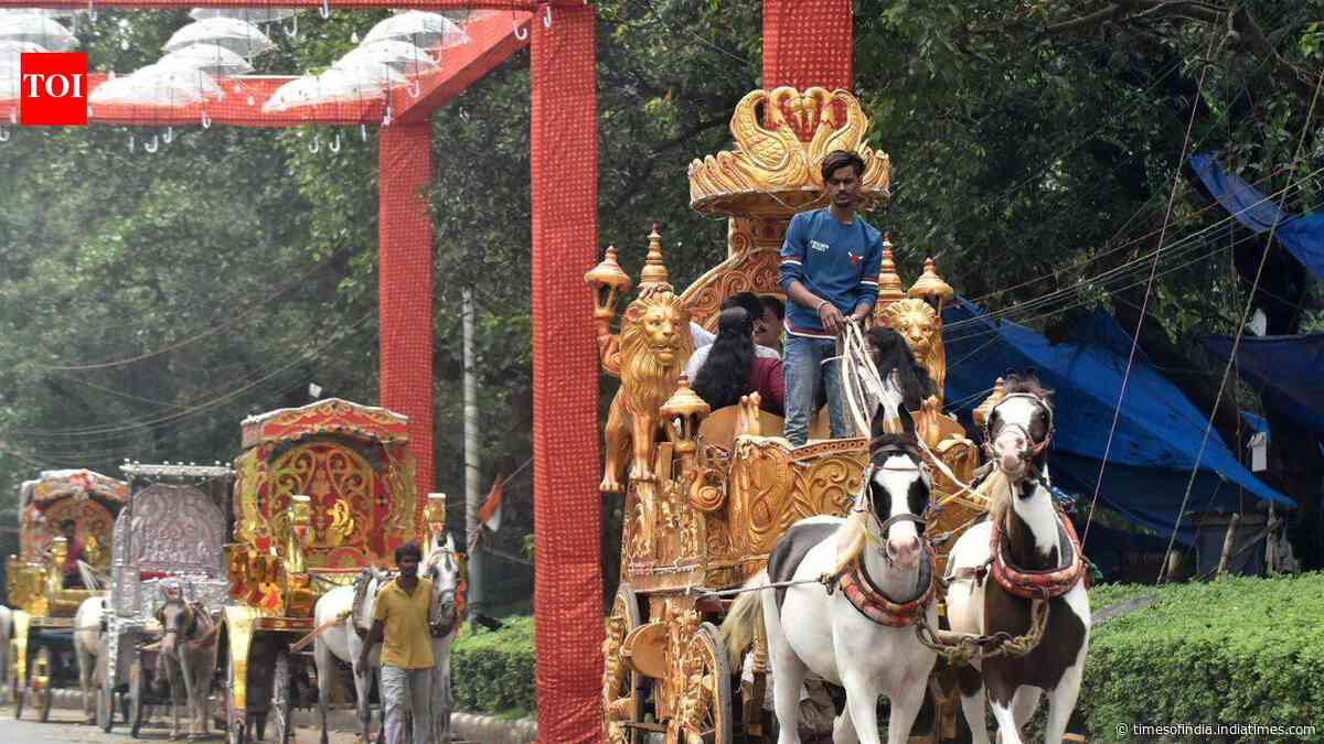Minister signals end of road for traditional horse-drawn carriages around Maidan