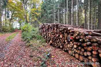 Stadt im Vogtland vergrößert ihren Waldbesitz