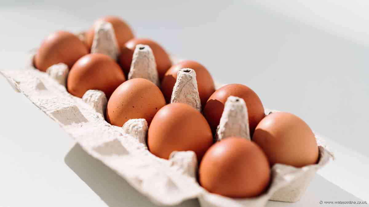 Welsh households urged to check eggs for certain code over salmonella risk