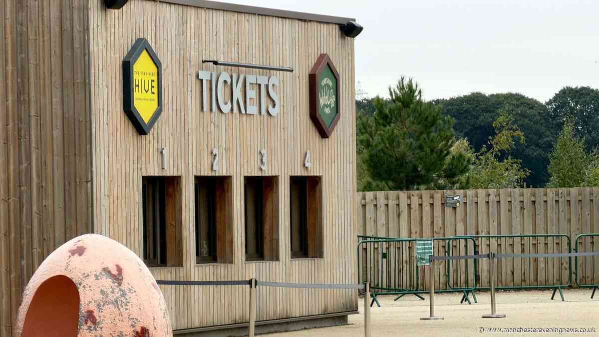 Everything Yorkshire Wildlife Park tiger attack witnesses have said so far - man's last words, new video and zookeepers' desperate efforts