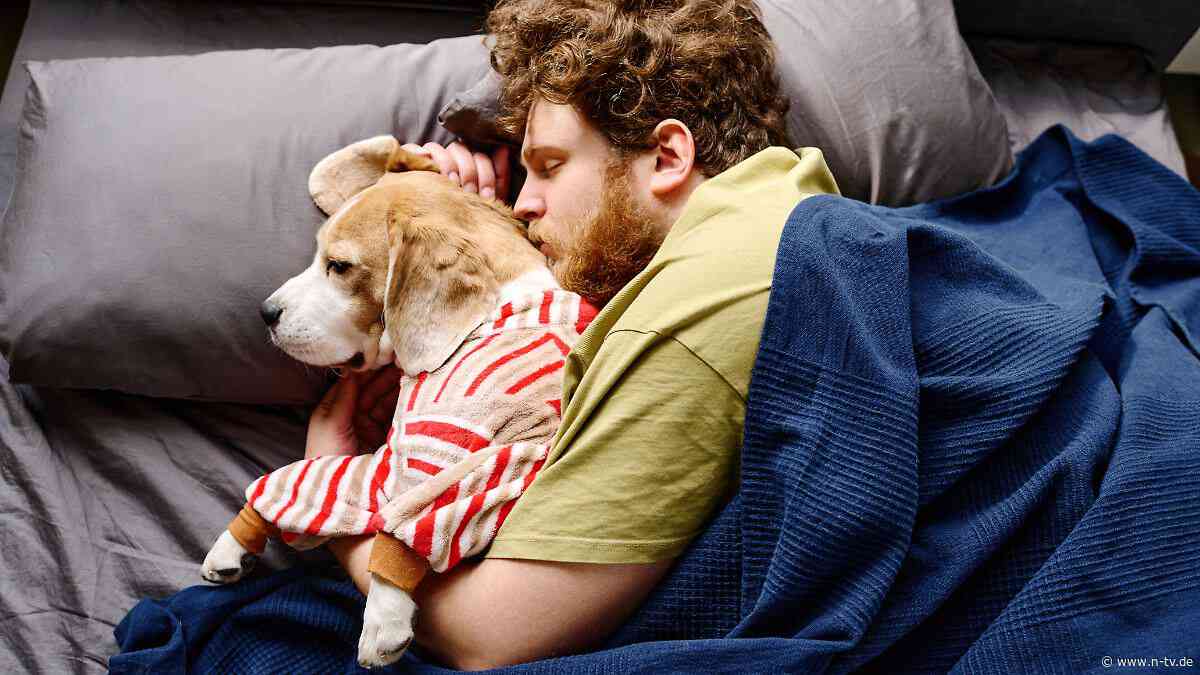 Mythos vom Schlafräuber widerlegt: Hund mit ins Bett? Für die Nachtruhe kein Problem
