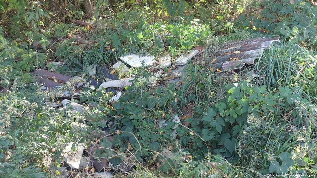 Dieser wilde Asbestmüll im Großen Moor kostet Gifhorns Steuerzahler Tausende