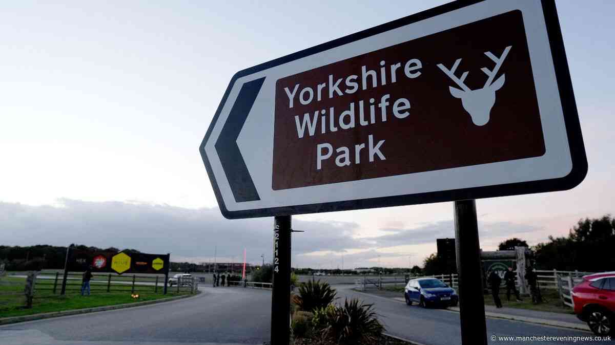 Everything Yorkshire Wildlife Park, police and witnesses have said about tiger attack as new update issued