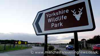 Everything Yorkshire Wildlife Park, police and witnesses have said about tiger attack as new update issued