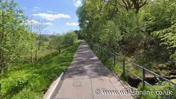 Investigation after man found dead near Pontypridd cricket club