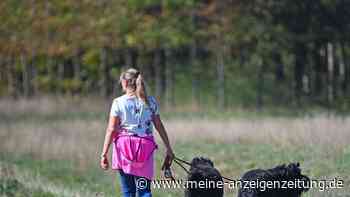Irrtum – der eigene Hund liebt nicht immer andere Hunde