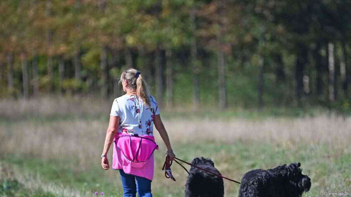 Irrtum – der eigene Hund liebt nicht immer andere Hunde