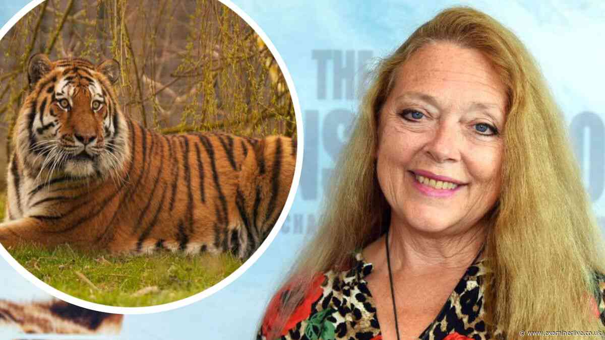 Tiger King star Carole Baskin issues five-word stance after Yorkshire Wildlife Park visitor mauled