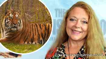 Tiger King star Carole Baskin issues five-word stance after Yorkshire Wildlife Park visitor mauled