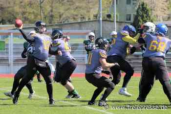 Touchdowns und Rettungswagen: Freiberger Footballer feiern emotionales Jubiläumsspiel