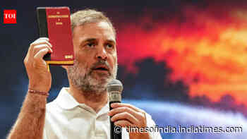 SC permits Congress delegation to file petition within premises as Rahul leads INDIA bloc march
