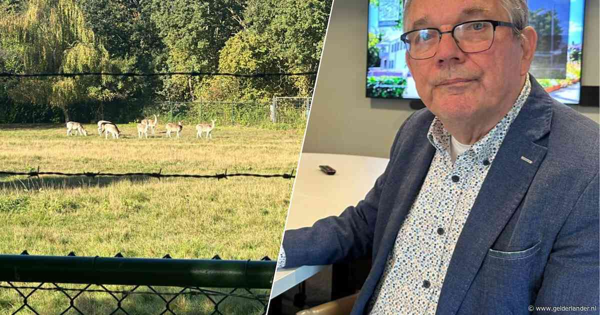 Aalten wijst drie plekken aan voor opvang asielzoekers nadat eerste plan sneuvelde