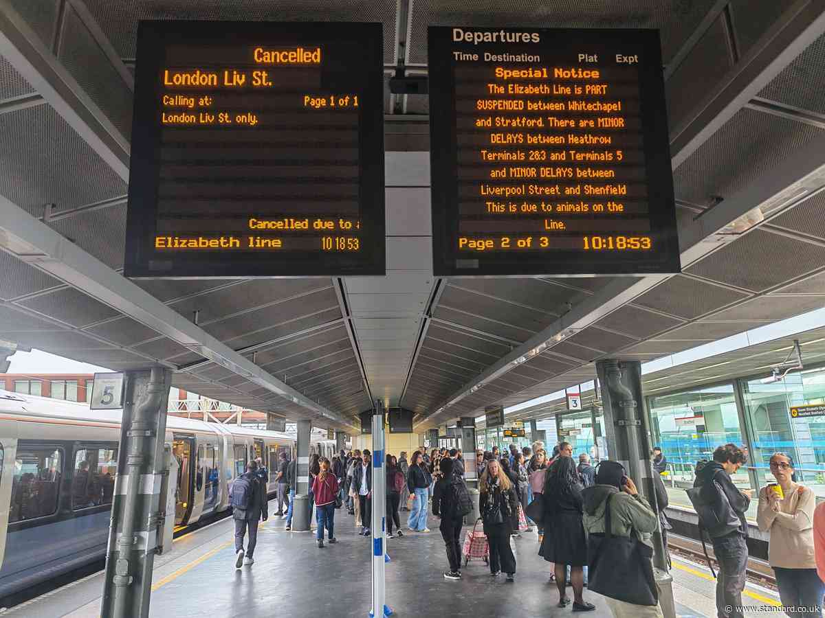 London travel news LIVE: District line hit by signal fault failure as swan halts Elizabeth line trains