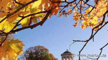 Münchens schönstes Herbstlaub: 4 Orte für einen stimmungsvollen Spaziergang
