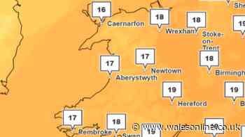 BBC weatherman says Hurricane Isaias to bring tropical conditions to Wales with warm days on the way